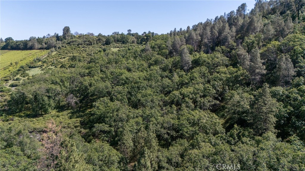 13520 Point Lakeview Property Photo 12