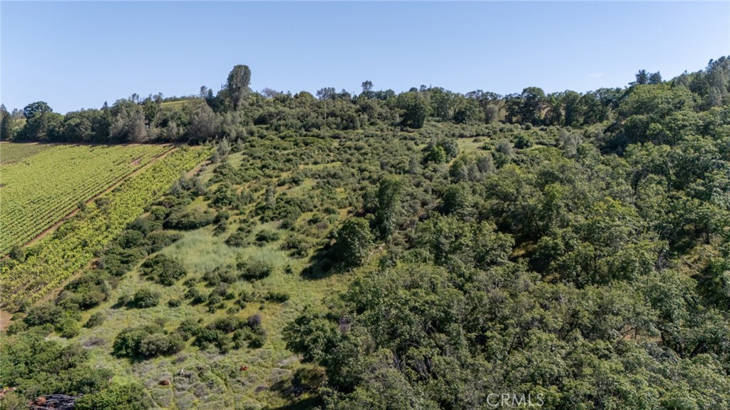 13520 Point Lakeview Property Photo 13