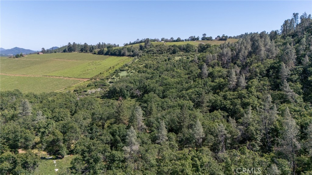 13520 Point Lakeview Property Photo 15