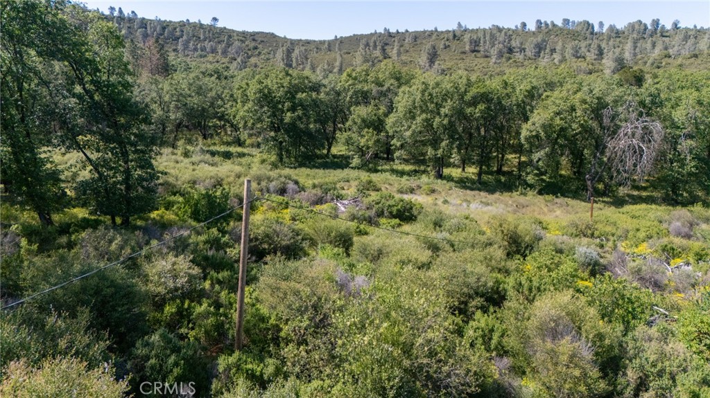13520 Point Lakeview Property Photo 17