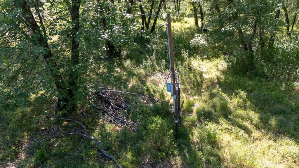13520 Point Lakeview Property Photo 18