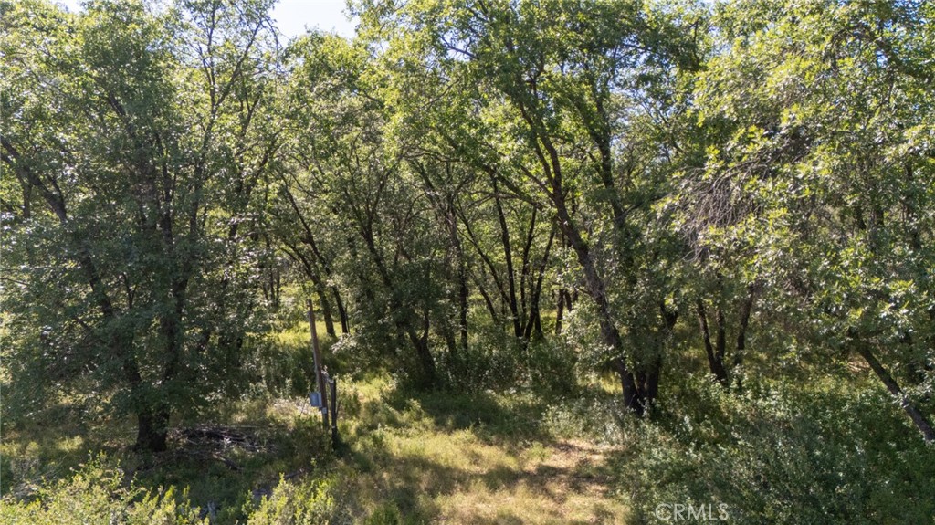13520 Point Lakeview Property Photo 19
