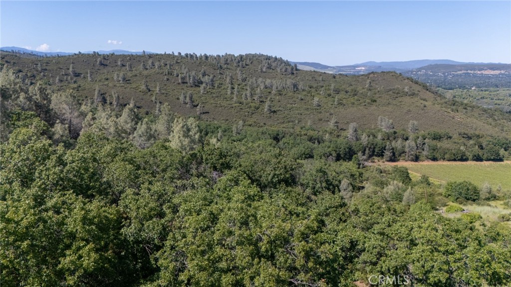 13520 Point Lakeview Property Photo 24