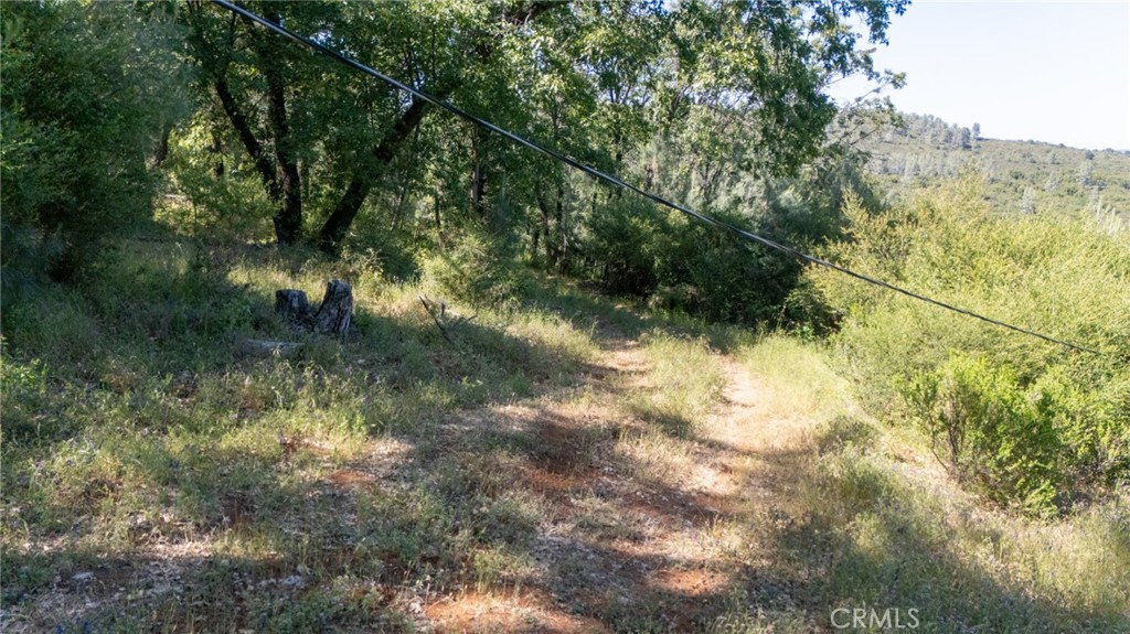 13520 Point Lakeview Property Photo 26