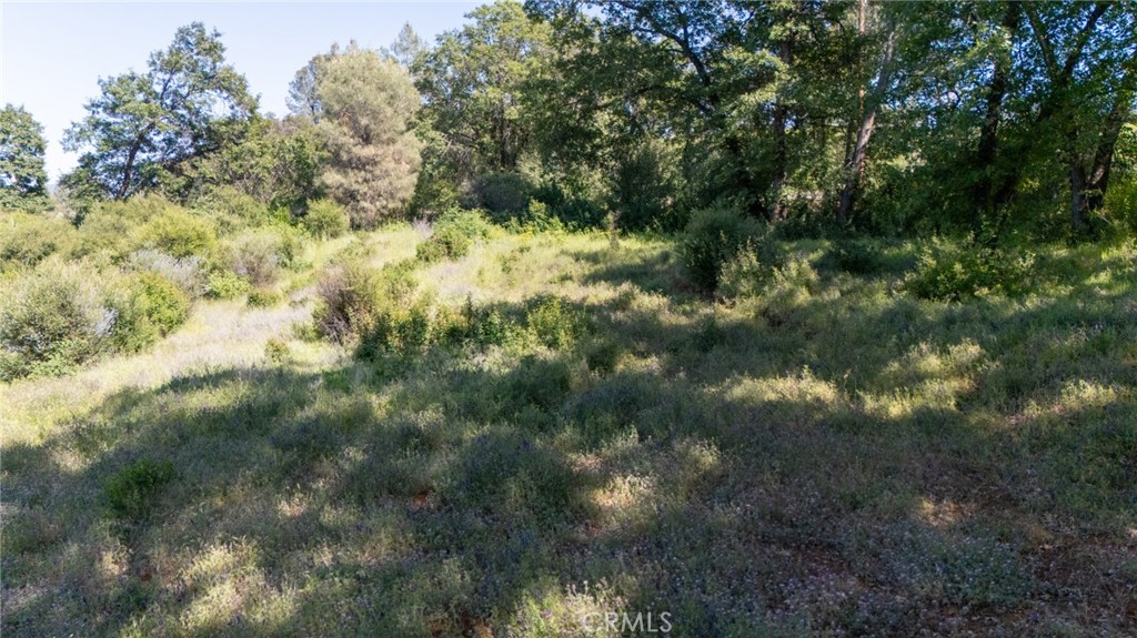 13520 Point Lakeview Property Photo 27