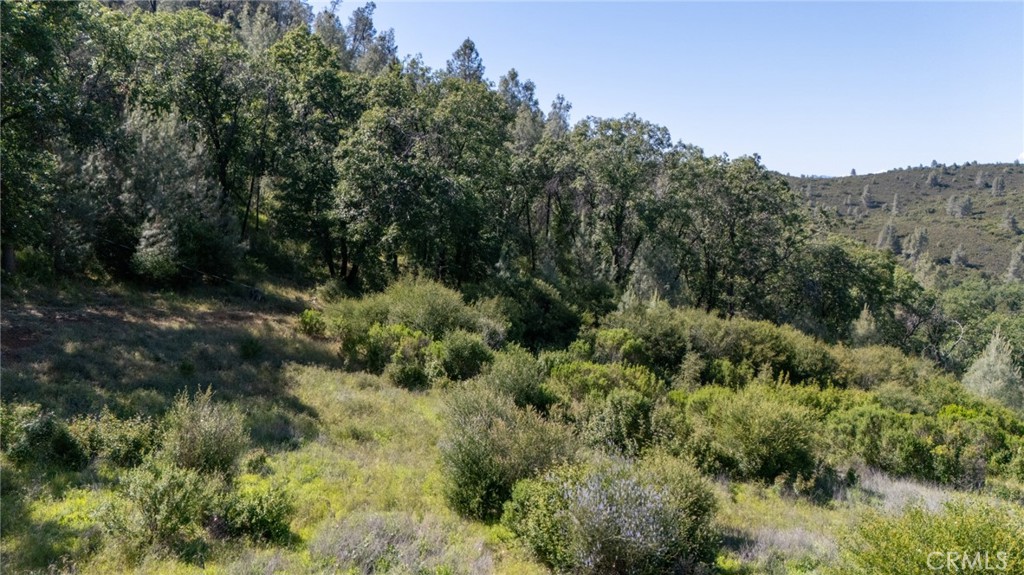 13520 Point Lakeview Property Photo 29