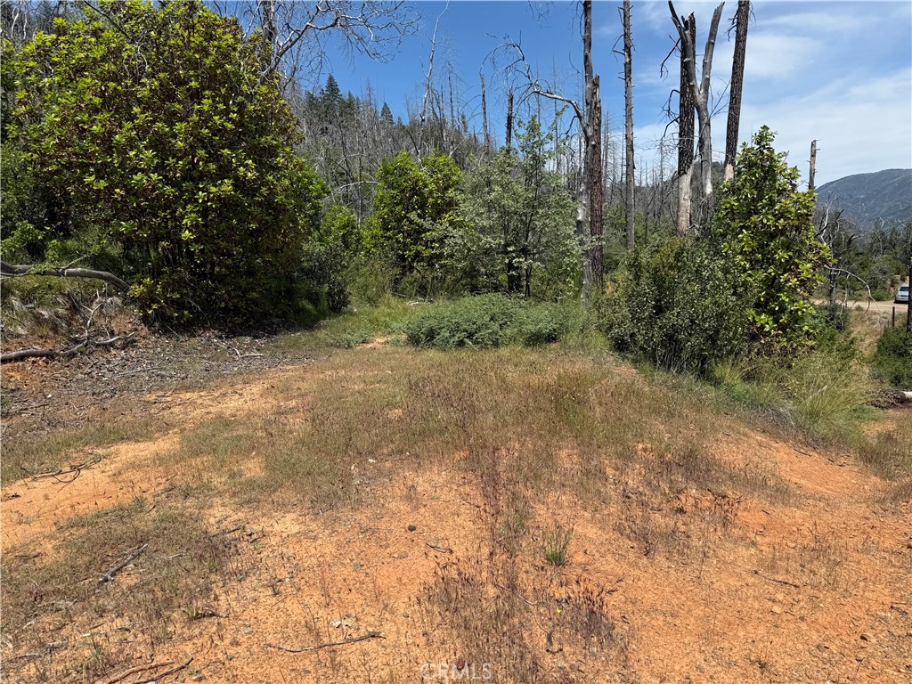 1833 Hunter Point Dr Property Photo 3