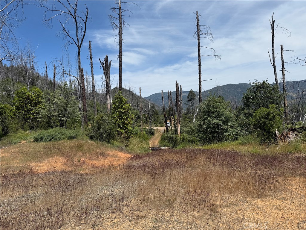 1833 Hunter Point Dr Property Photo 4
