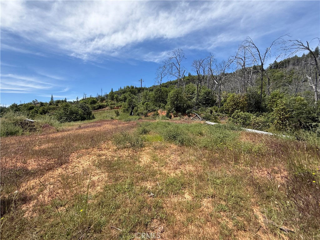 1833 Hunter Point Dr Property Photo 17