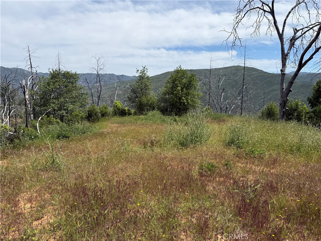 1833 Hunter Point Dr Property Photo 18