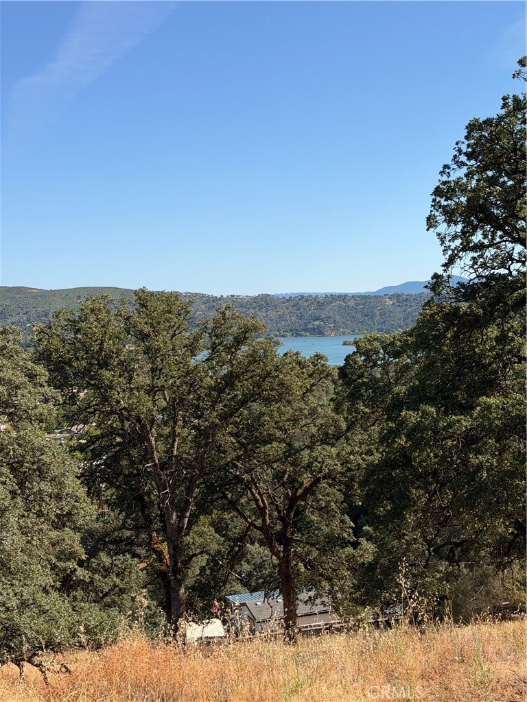12657 Mountain View Drive Property Photo 1