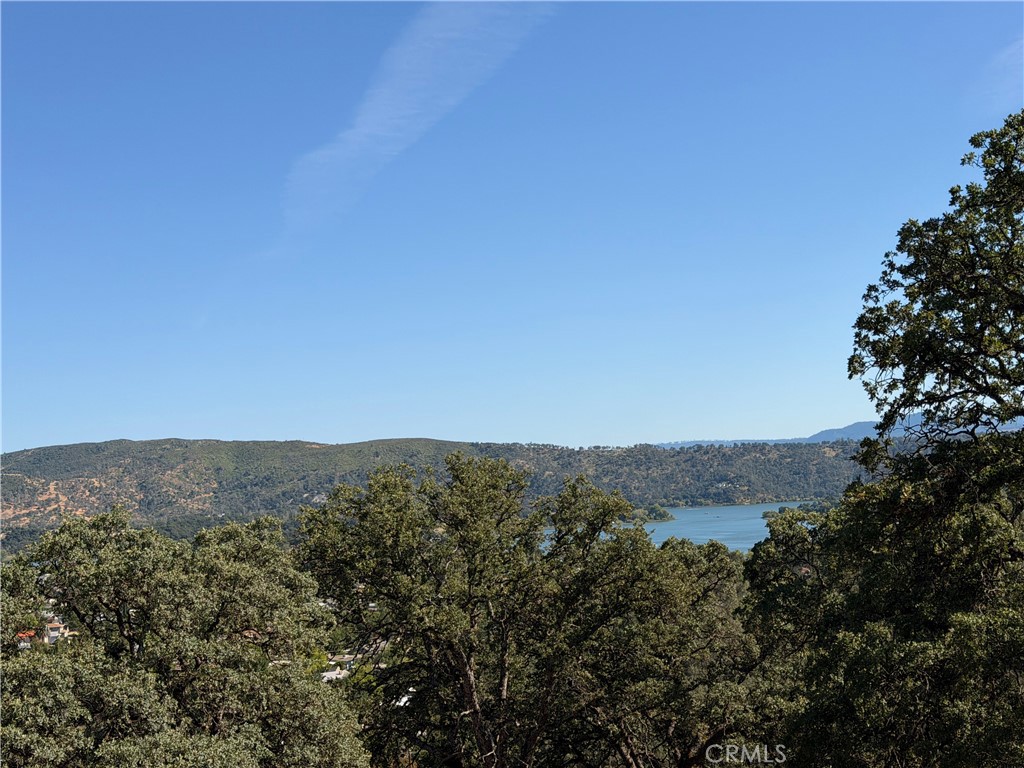 12657 Mountain View Drive Property Photo 2
