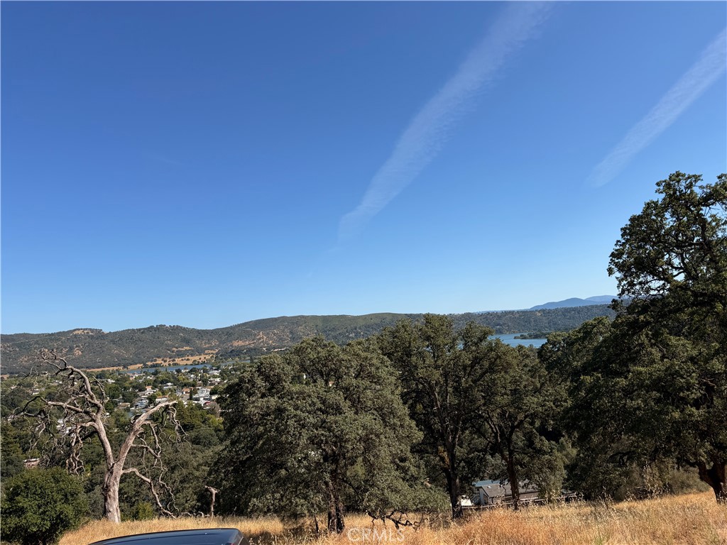 12657 Mountain View Drive Property Photo 3