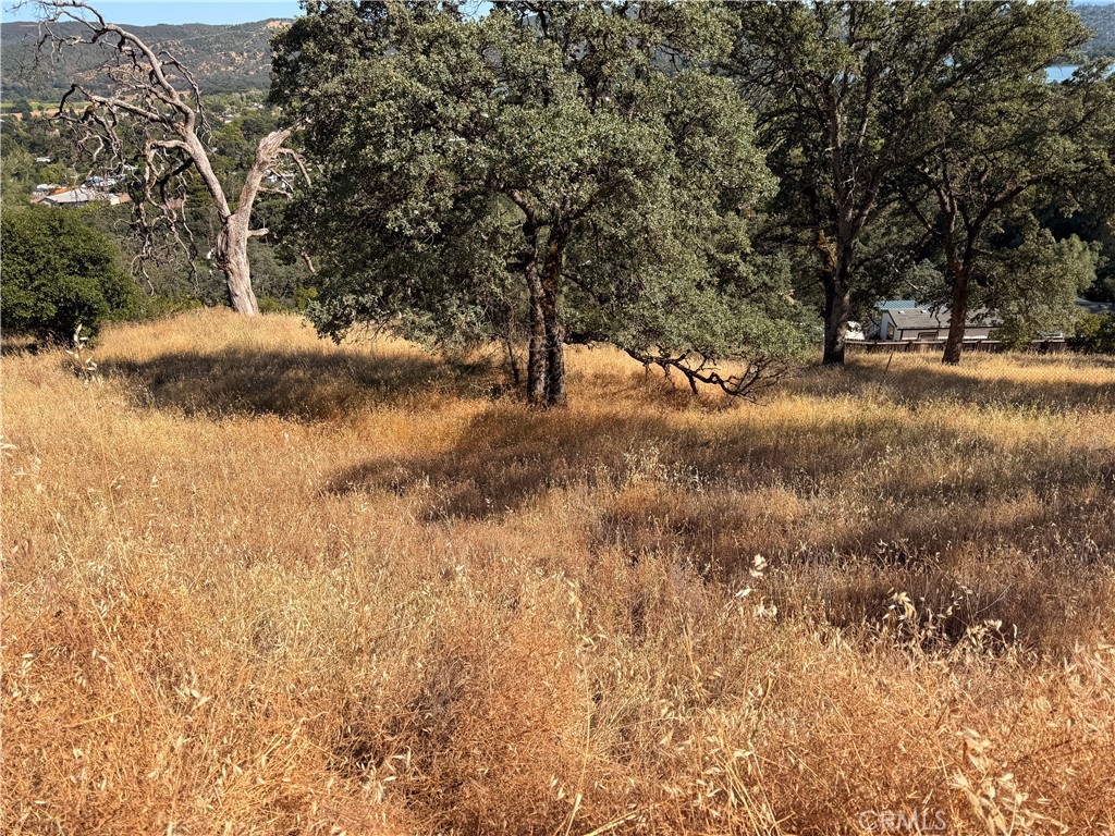 12657 Mountain View Drive Property Photo 4