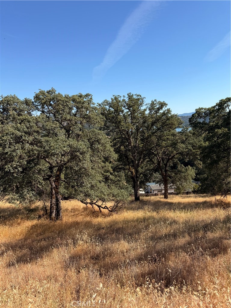 12657 Mountain View Drive Property Photo 8