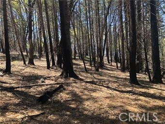 7097 High Valley Property Photo 1