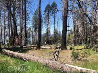7097 High Valley Property Photo 2
