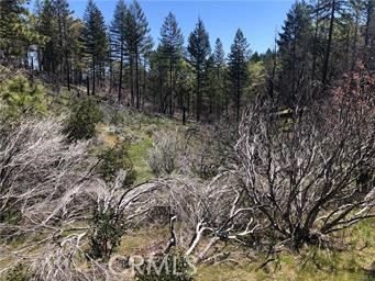 7097 High Valley Property Photo 4