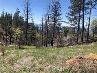 6847 High Valley Property Photo 5