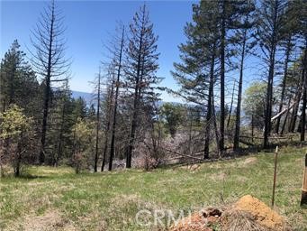 6847 High Valley Property Photo 6