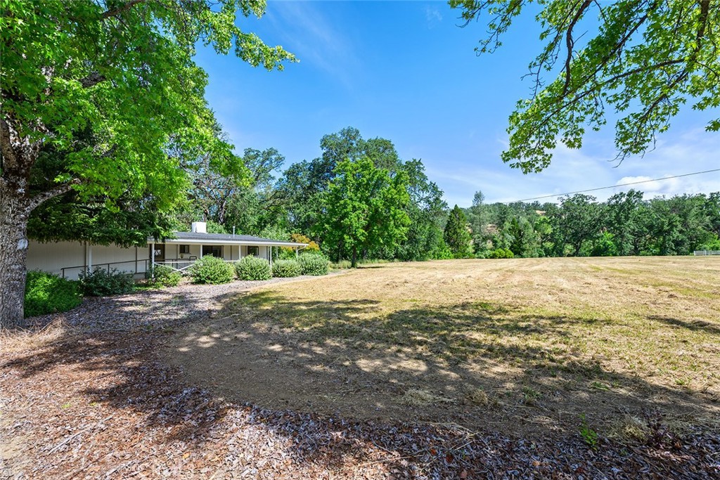 11997 Riata Road Property Photo 1