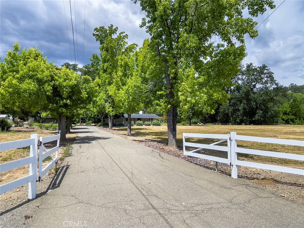 11997 Riata Road Property Photo 2