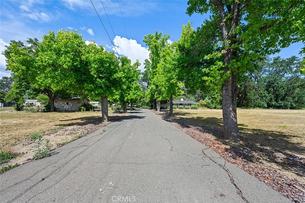 11997 Riata Road Property Photo 3