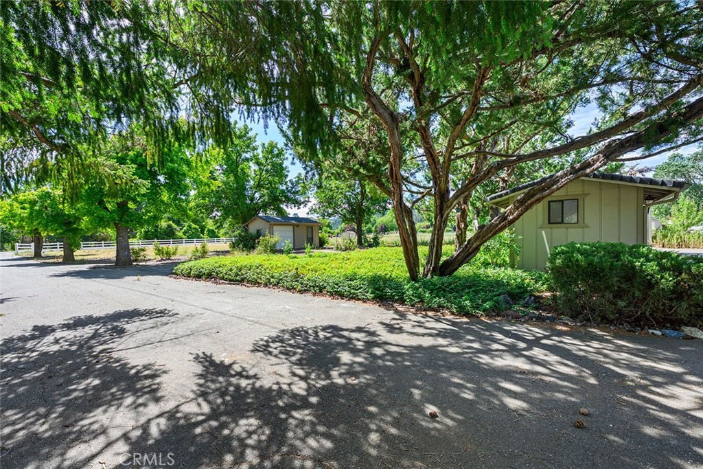 11997 Riata Road Property Photo 23