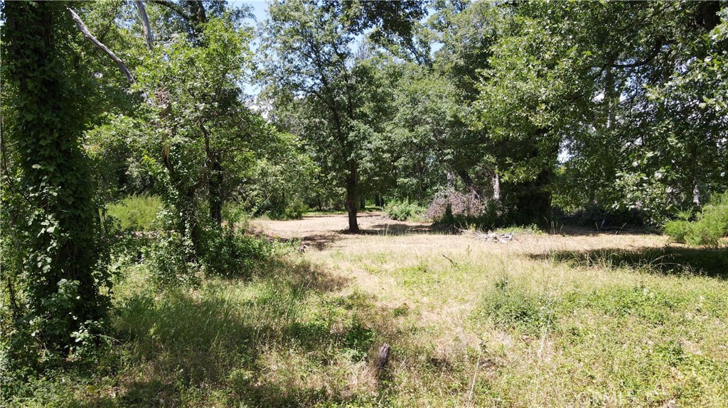 1343 Shady Lane Property Photo 1