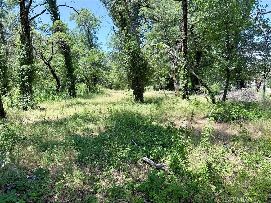 1343 Shady Lane Property Photo 3
