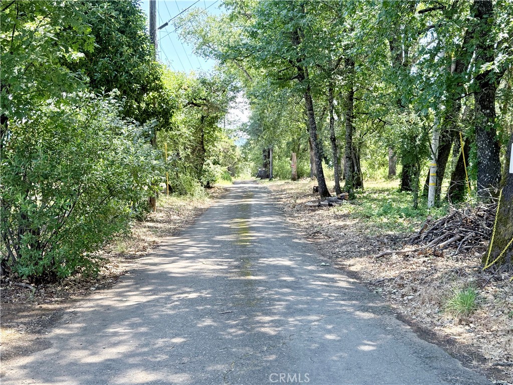 1343 Shady Lane Property Photo 4