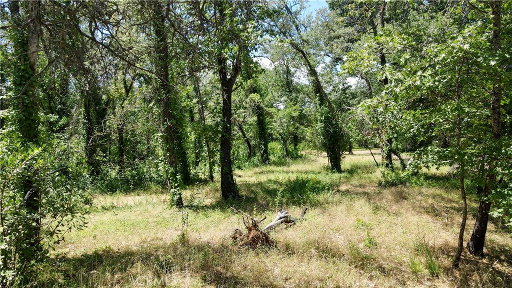 1343 Shady Lane Property Photo 5