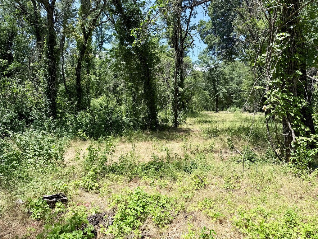 1343 Shady Lane Property Photo 13
