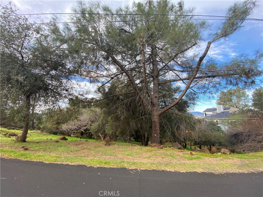 15749 Little Peak Property Photo 1