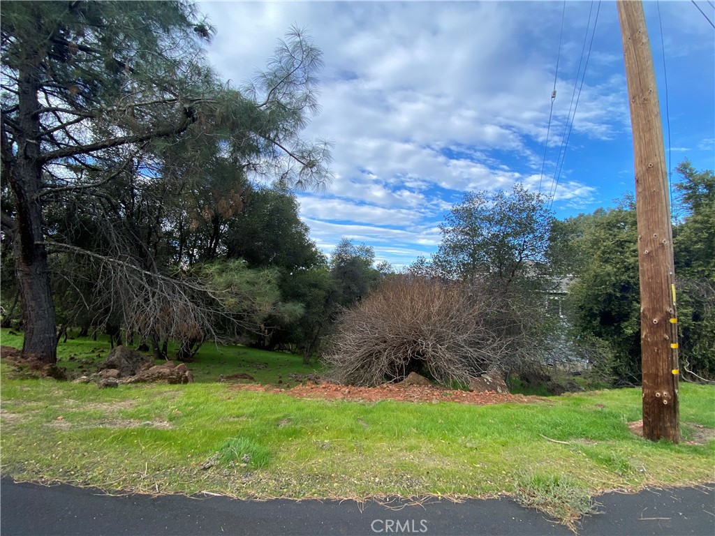 15749 Little Peak Property Photo 2