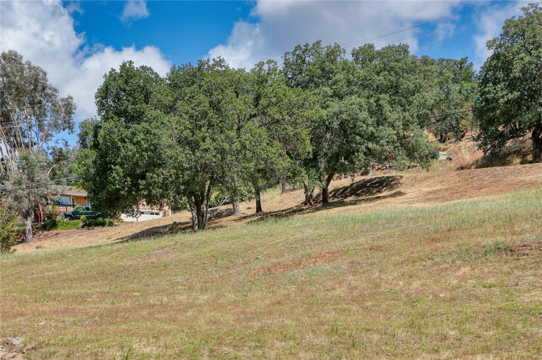 17270 Knollview Property Photo 3