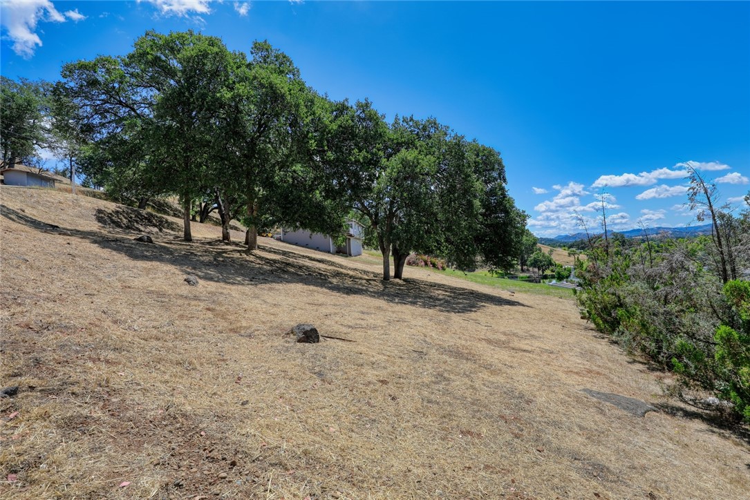 17270 Knollview Property Photo 6