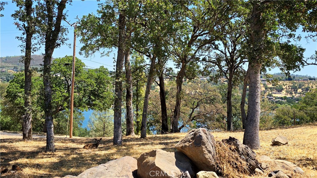 18379 Lakeridge Property Photo 8