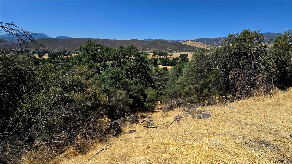 18379 Lakeridge Property Photo 10