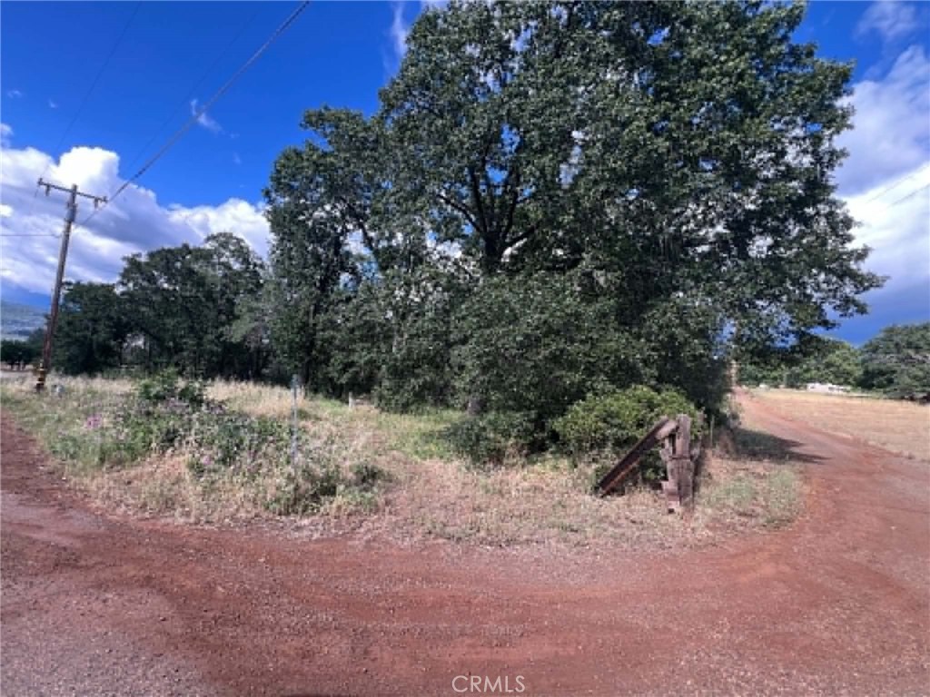 0 Manton School Rd Property Photo 2