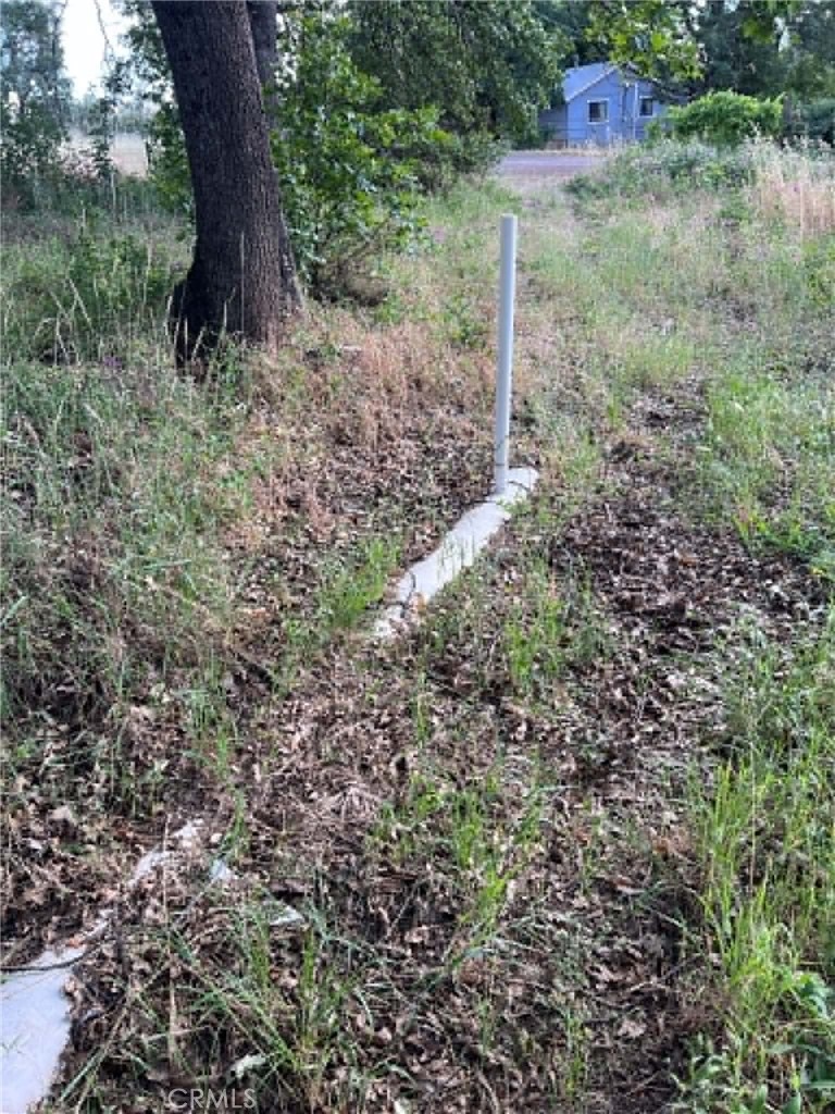 0 Manton School Rd Property Photo 4