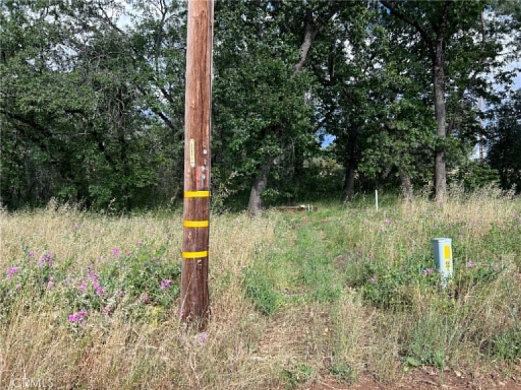 0 Manton School Rd Property Photo 5
