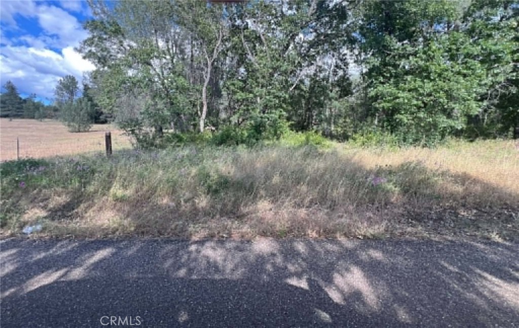 0 Manton School Rd Property Photo 6