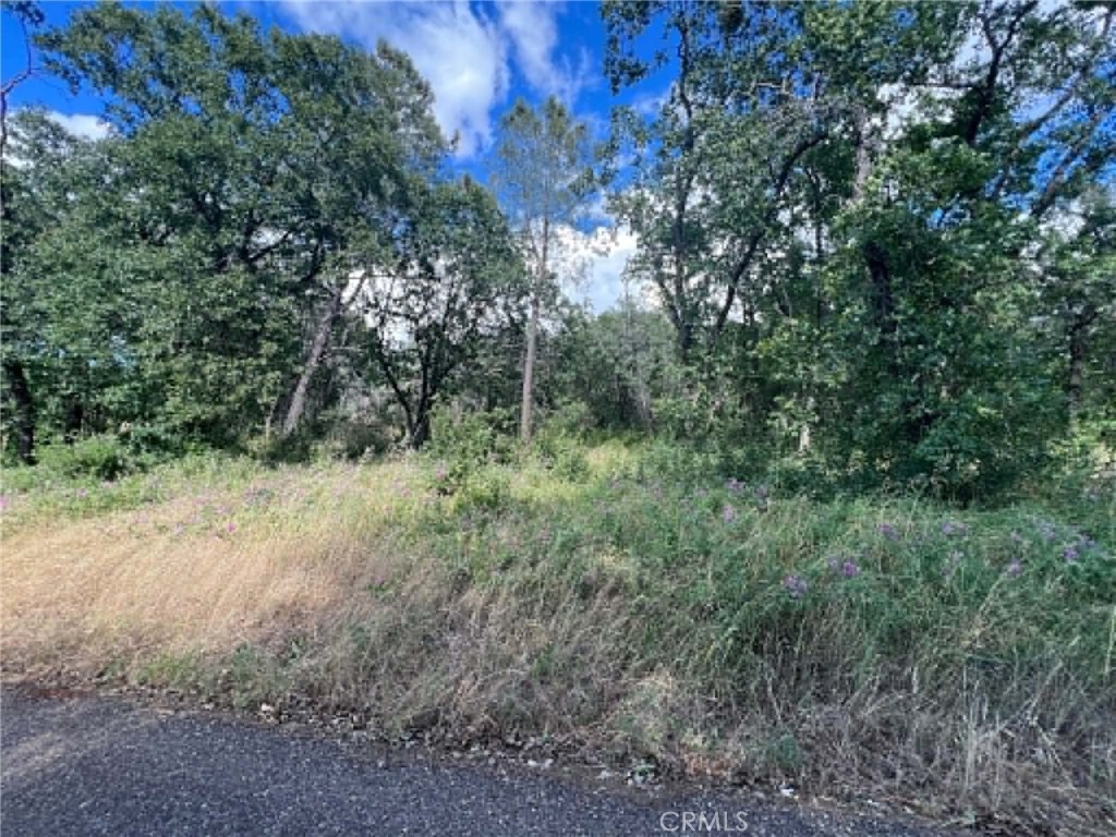 0 Manton School Rd Property Photo 12