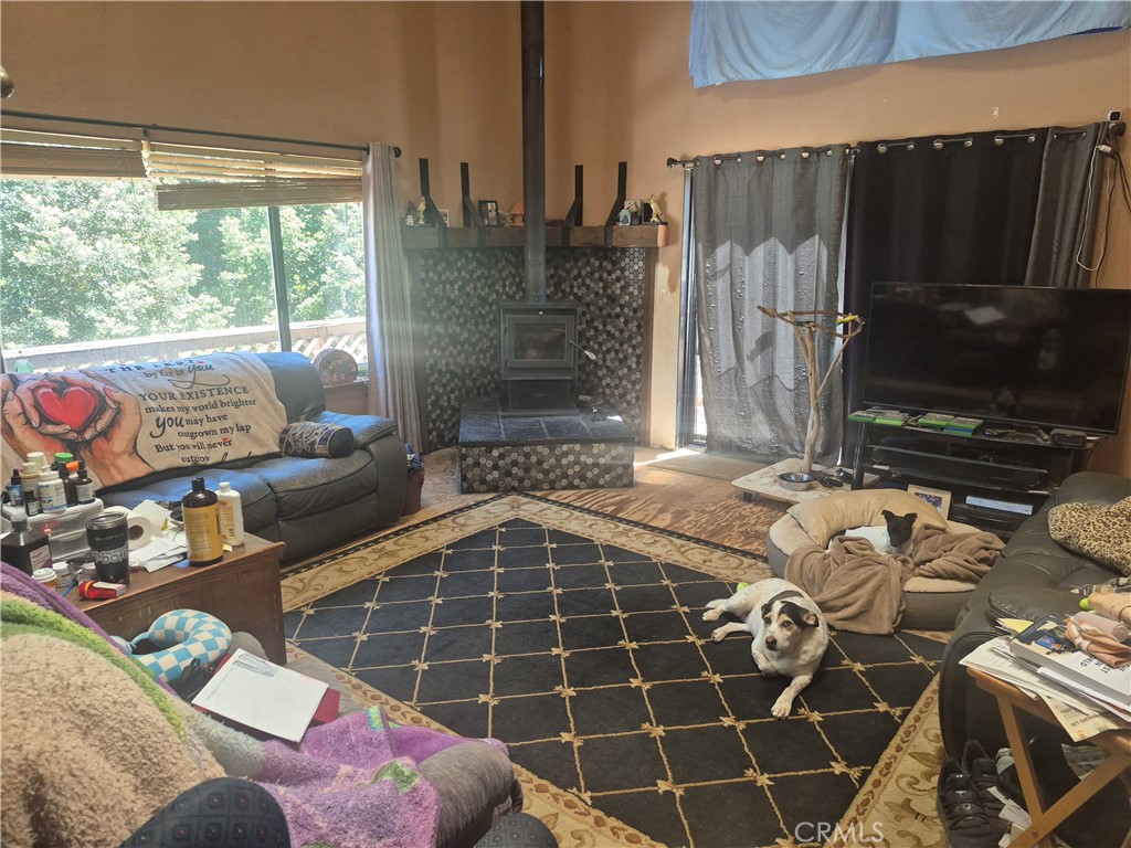 29600 Timberline Road Property Photo 5