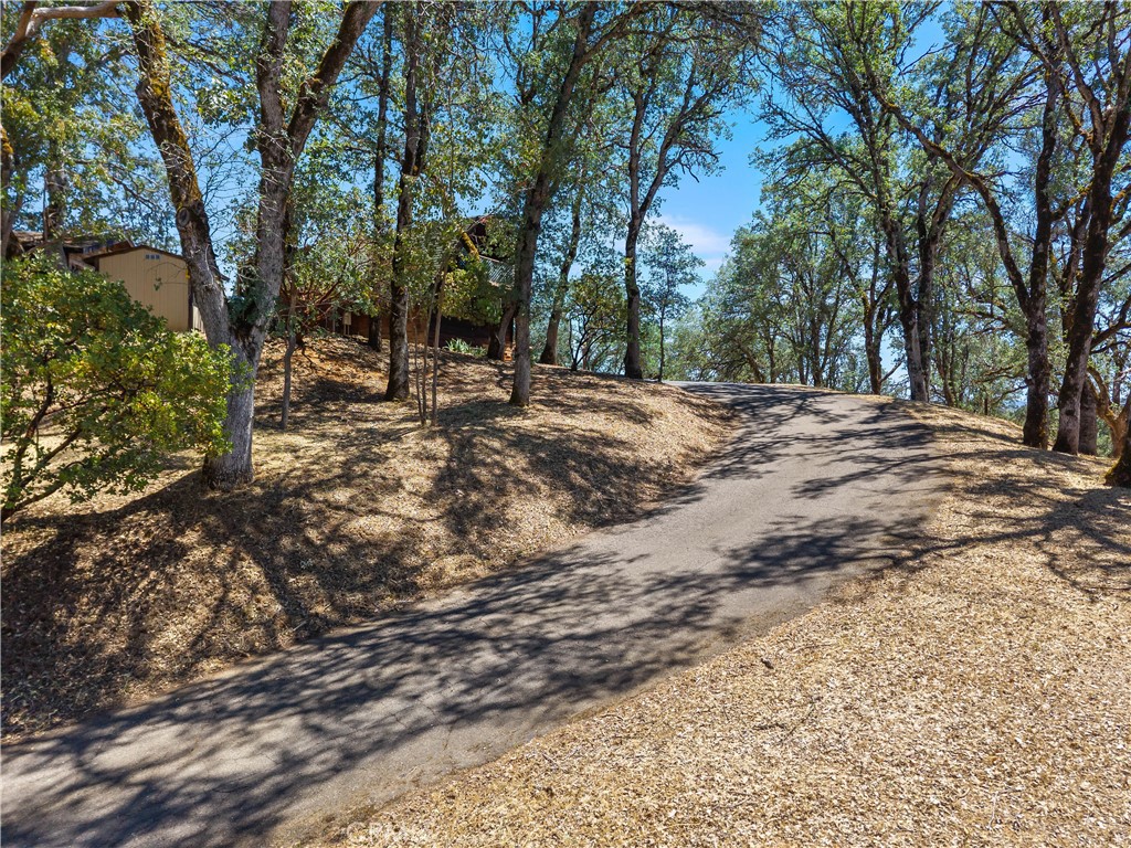 1239 Boggs Lane Property Photo 52