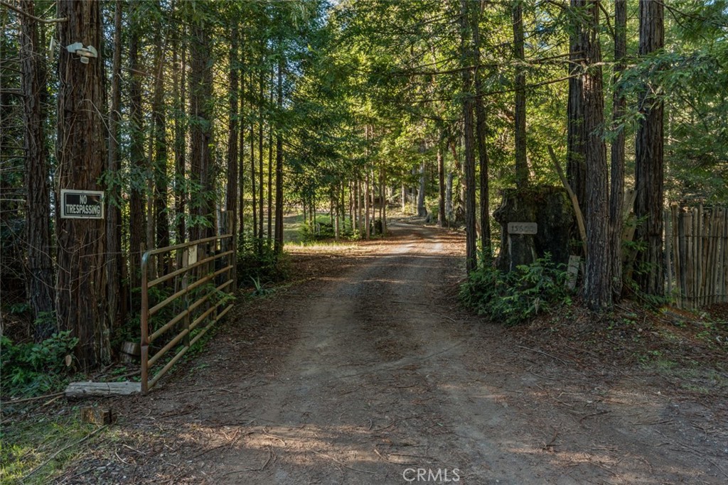 13600 Docker Hill Rd Property Photo 4