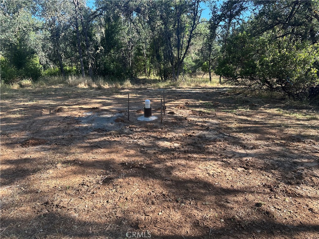 2995 Hill Rd Property Photo 2