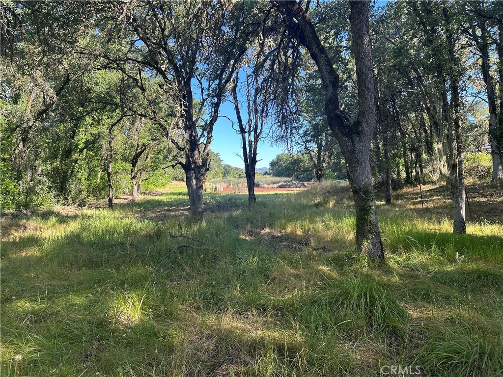 2995 Hill Rd Property Photo 3
