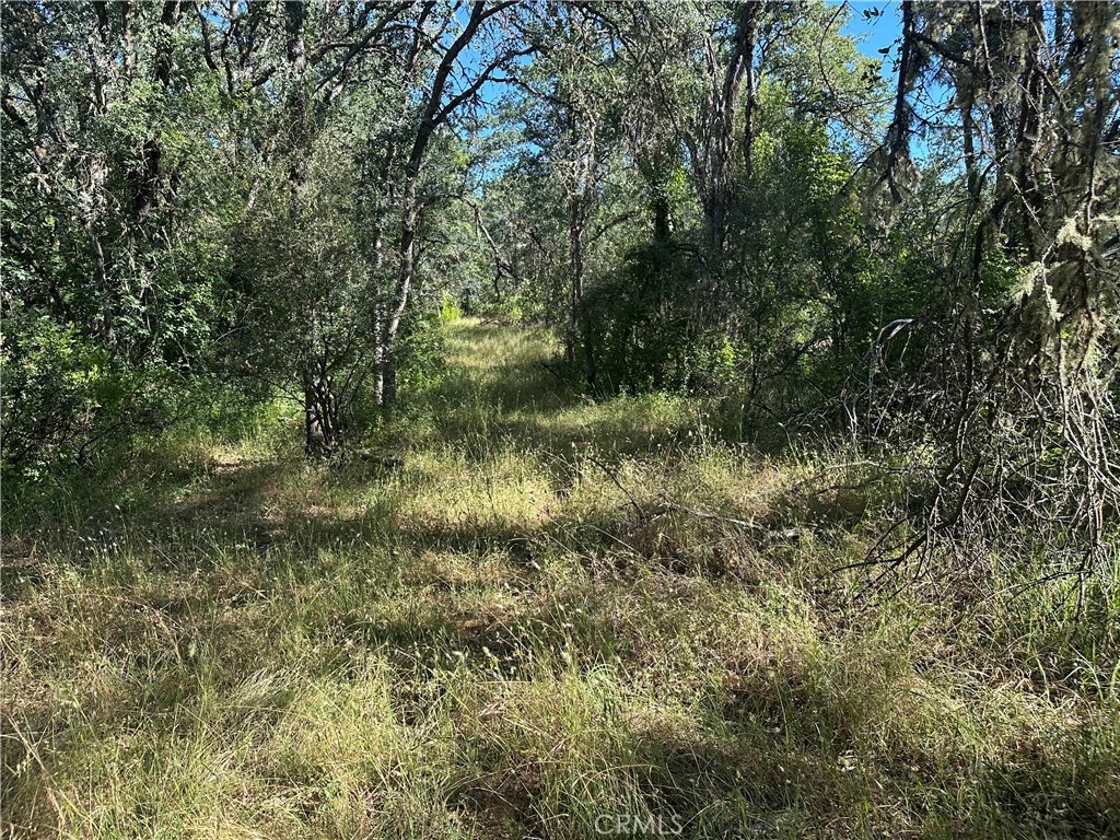 2995 Hill Rd Property Photo 5